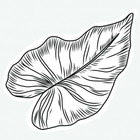 Sticker feuille tropicale Colocasia