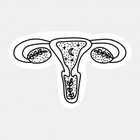 Sticker anatomie féminine